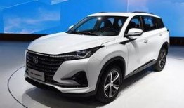 国产精品最新,匠心独运，引领潮流新风尚